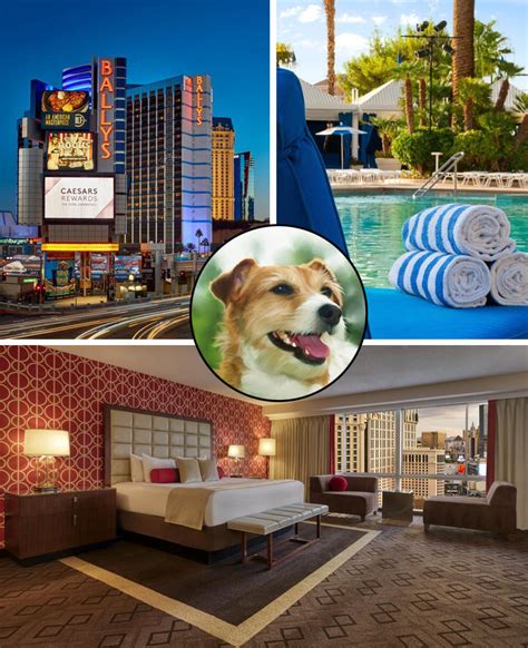 las vegas hotels pets allowed.